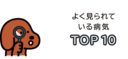 よく見られている病気TOP10